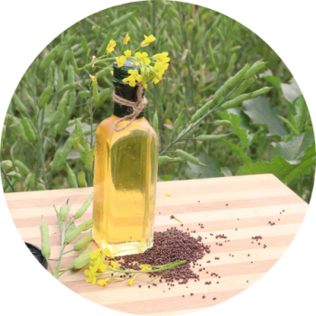 Hydraulic Press Mustard Oil