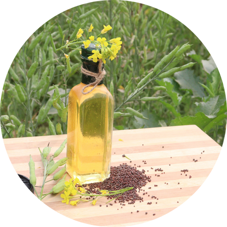 Hydraulic Press Mustard Oil